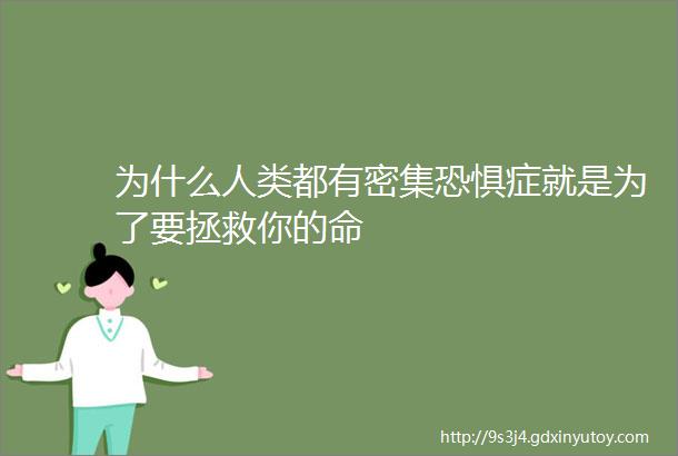 为什么人类都有密集恐惧症就是为了要拯救你的命