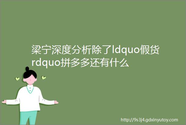 梁宁深度分析除了ldquo假货rdquo拼多多还有什么